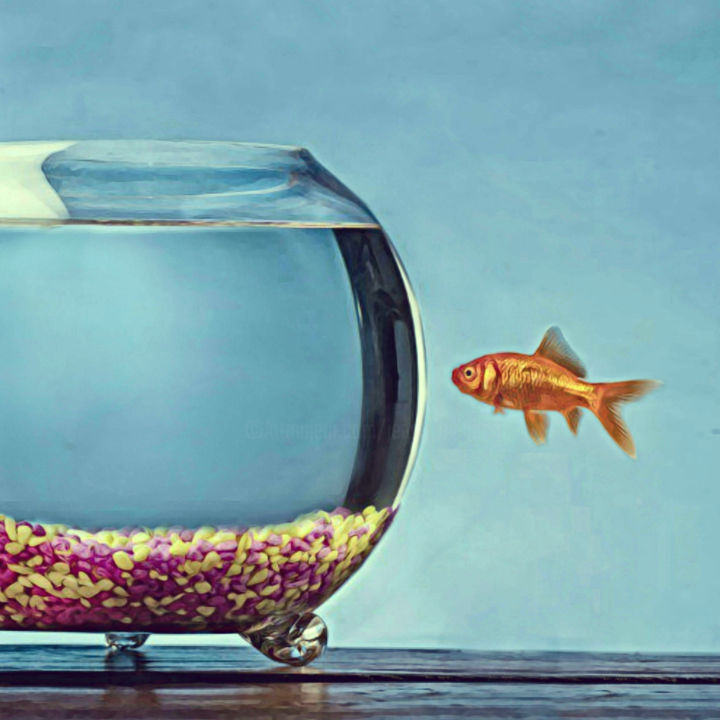 Le Poisson Rouge Digital Arts By Jean Marie Gitard Mr Strange Artmajeur