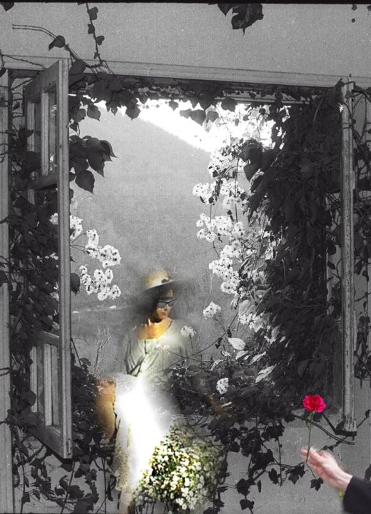Arts numériques intitulée "La Rose" par Jean Mary Coulon, Œuvre d'art originale, Photo montage