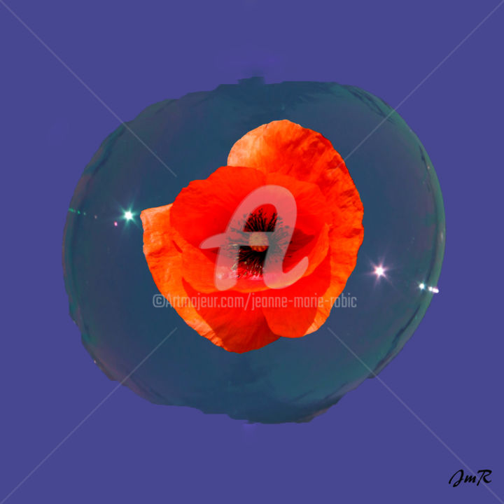 Digital Arts titled "Coquelicot" by Jeanne-Marie Robic, Original Artwork, Digital Painting