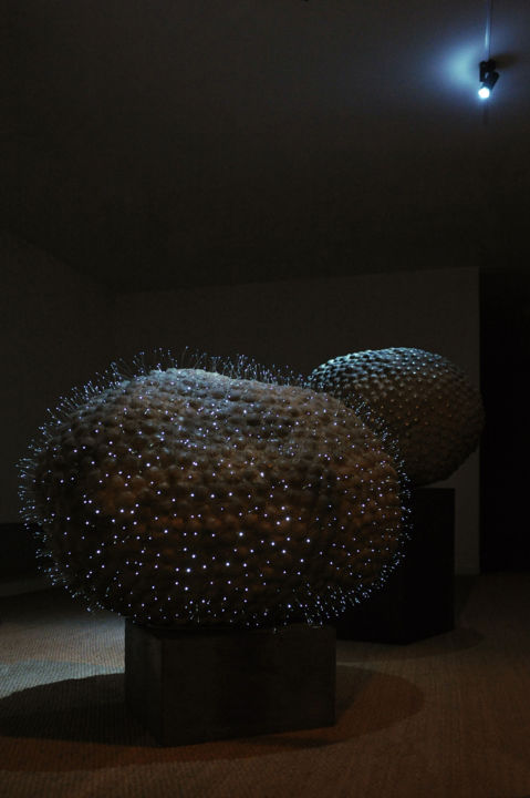 Skulptur mit dem Titel "microcosme-macrocos…" von Jeanpaul Zak, Original-Kunstwerk, Andere