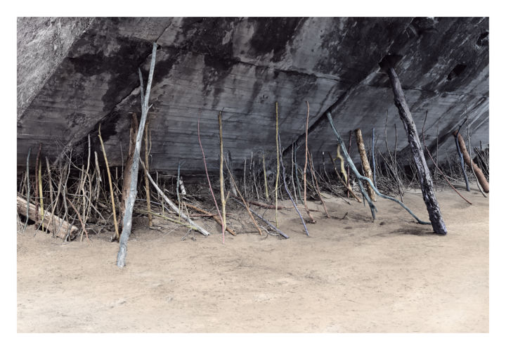 Fotografia zatytułowany „La tanière du loup 2” autorstwa Jeanpaul Zak, Oryginalna praca, Fotografia cyfrowa