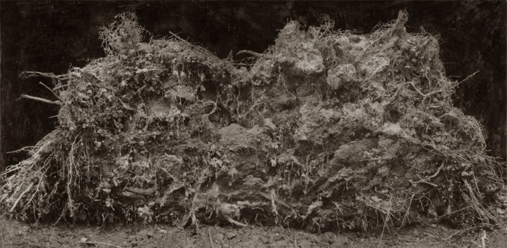 Fotografie mit dem Titel "Cœur de forêt III "…" von Jeanpaul Zak, Original-Kunstwerk, Analog Fotografie