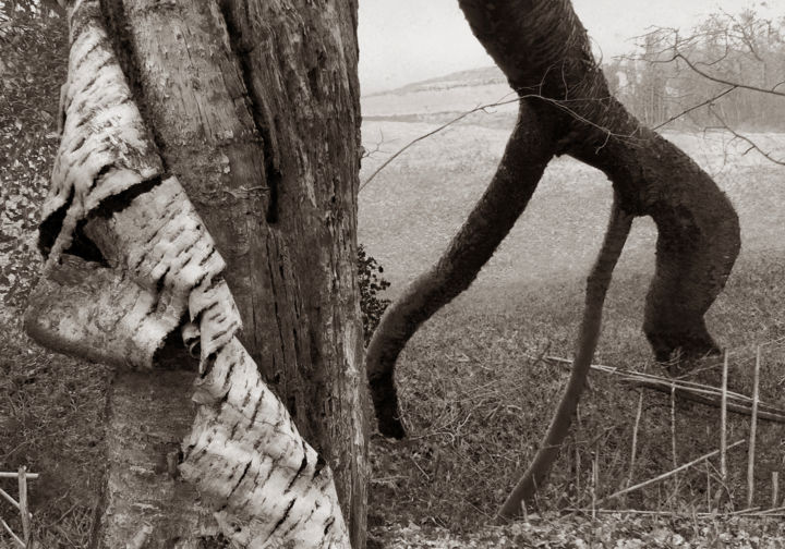 Φωτογραφία με τίτλο "Cœur de forêt VII" από Jeanpaul Zak, Αυθεντικά έργα τέχνης, Ψηφιακή φωτογραφία