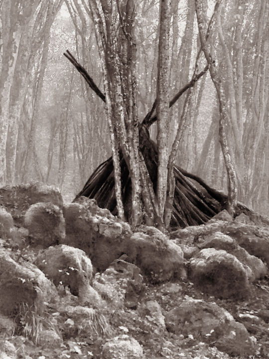 Фотография под названием "Cabane I" - Jeanpaul Zak, Подлинное произведение искусства, Цифровая фотография Установлен на Алюм…