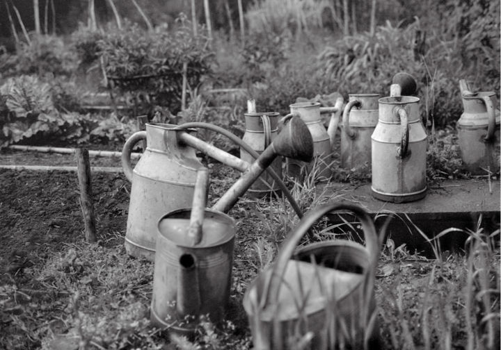 Photographie intitulée "Arrosoirs III" par Jeanpaul Zak, Œuvre d'art originale, Photographie argentique