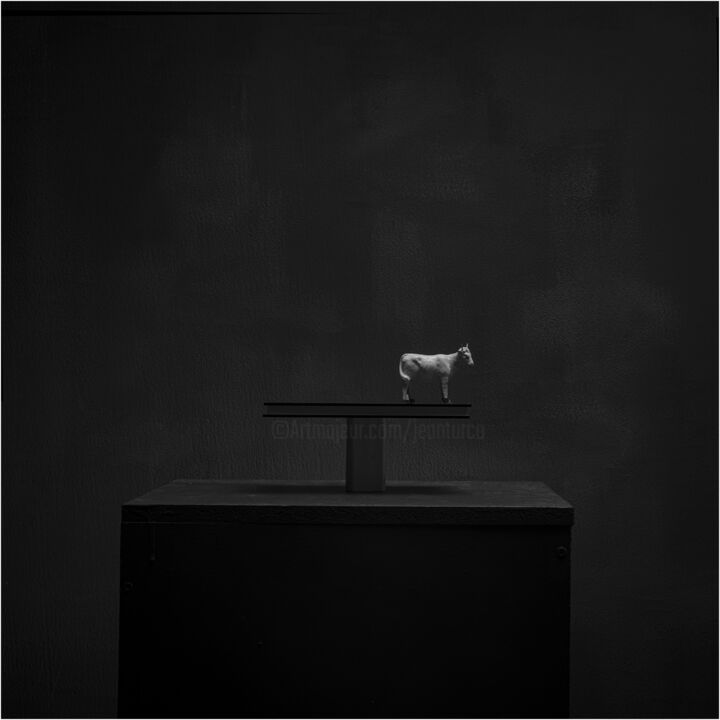 Photographie intitulée "photographies Jean…" par Jean Turco, Œuvre d'art originale, Photographie numérique Monté sur Châssis