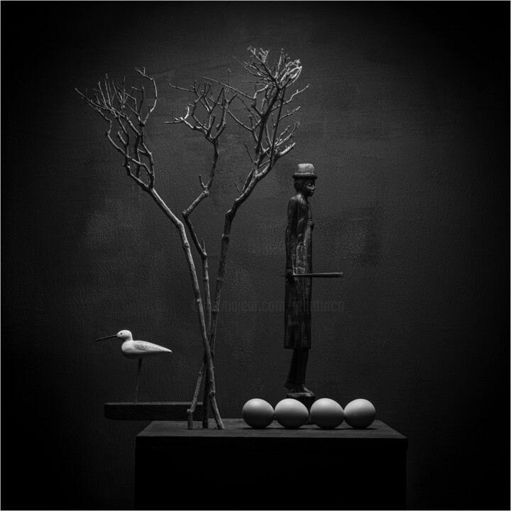 摄影 标题为“photographiesjeantu…” 由Jean Turco, 原创艺术品, 数码摄影 安装在铝上