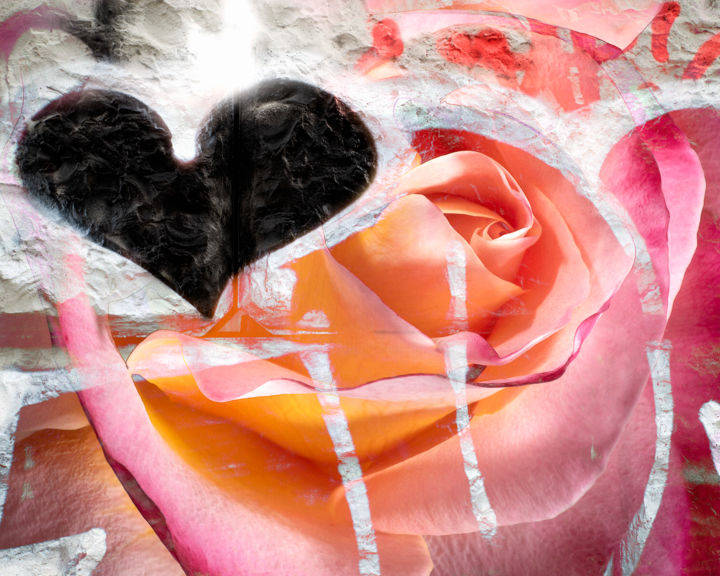 Arts numériques intitulée "Heart+Rose" par Jeff Griffiths, Œuvre d'art originale, Photo montage
