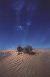 "Desert Art" başlıklı Fotoğraf Jeff Fuchs tarafından, Orijinal sanat