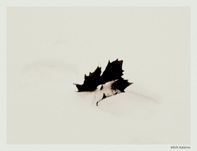 Photographie intitulée "THE END" par Katarina Jelic, Œuvre d'art originale