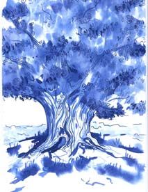 Dessin intitulée "oliv tree3" par Jelena Dabic, Œuvre d'art originale