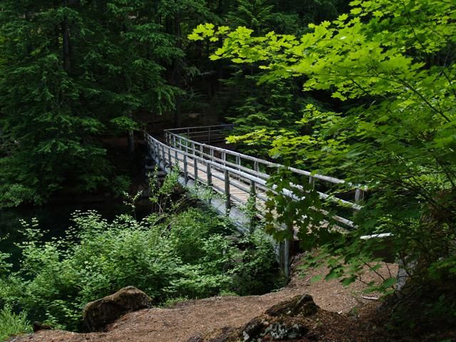 Installation titled "McKenzie River Foot…" by James And Kelly Stone, Original Artwork