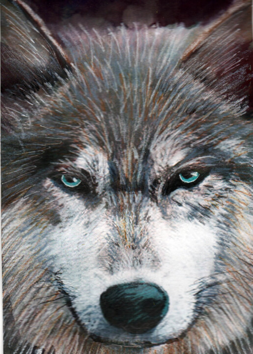Pintura titulada "wolf11" por Jena Polak, Obra de arte original, Acuarela
