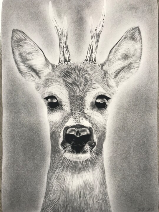 Drawing titled "Tirage d’art cerf" by Jendrw, Original Artwork, Graphite