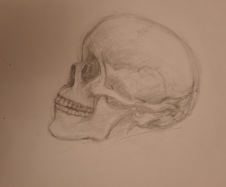 Dessin intitulée "Skeleton" par Jenő Dienes, Œuvre d'art originale, Crayon