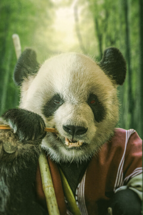 Digitale Kunst mit dem Titel "kung fu panda bambo…" von Jeremy Bourgois (Nyssop design), Original-Kunstwerk, Manipulierte Fo…