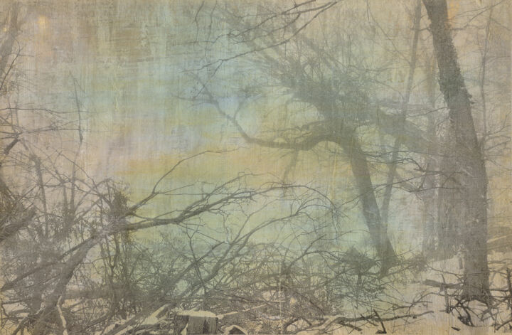 Printmaking titled "Deep in the Woods /…" by Jerome Goldnose, Original Artwork, Digital Print
