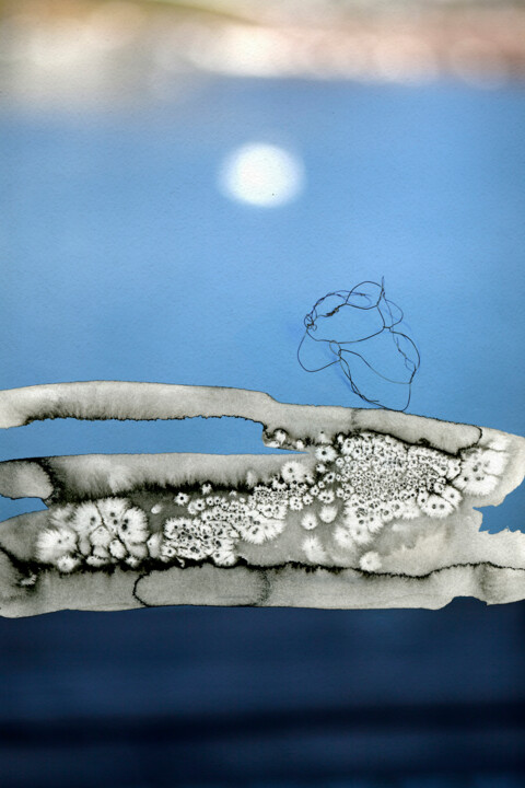 Фотография под названием "Un cygne" - Jerome Pergolesi, Подлинное произведение искусства, Цифровая фотография Установлен на…