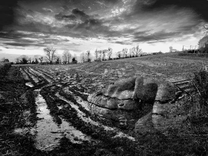 Photography titled "La disparition" by Jérôme Cambra, Original Artwork