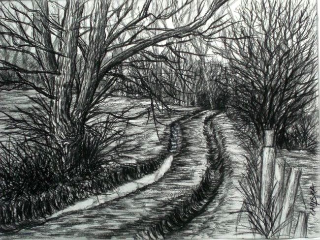 Dessin intitulée "Chemin forestier en…" par Jérôme Cambra, Œuvre d'art originale, Graphite