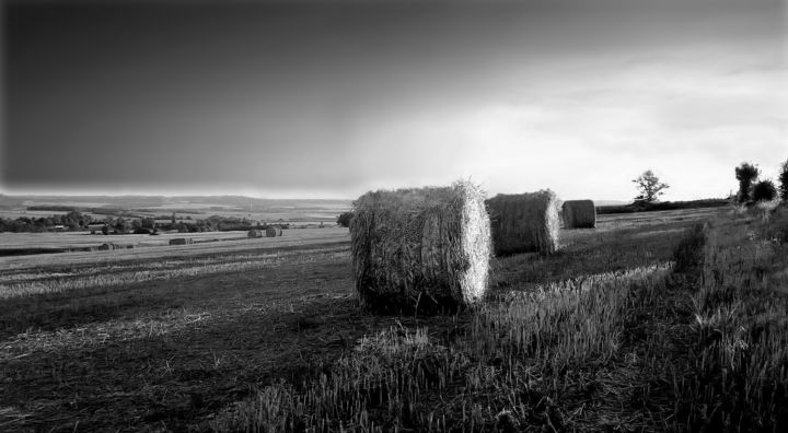 Photographie intitulée "Ballots de foin au…" par Jérôme Cambra, Œuvre d'art originale