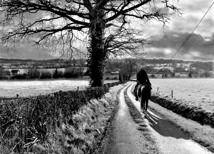 Photographie intitulée "Le cavalier solitai…" par Jérôme Cambra, Œuvre d'art originale