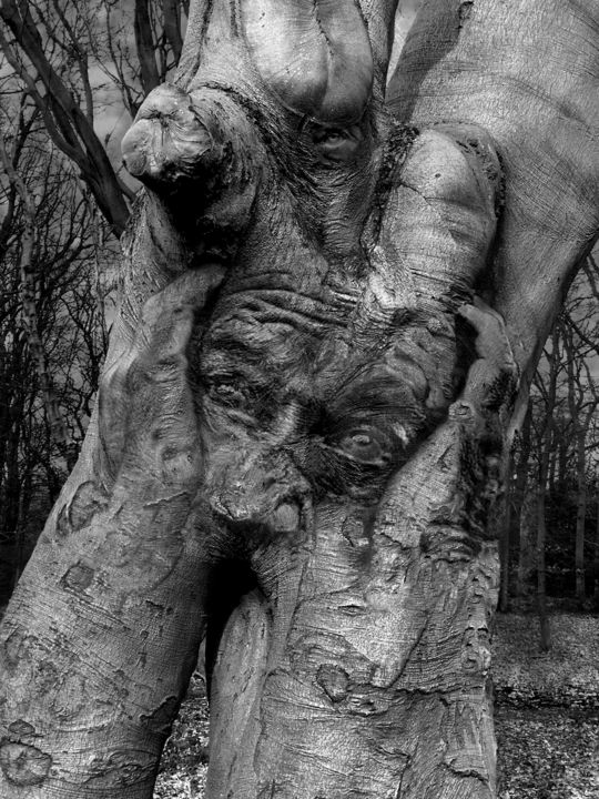 Fotografía titulada "Psychose" por Jérôme Cambra, Obra de arte original