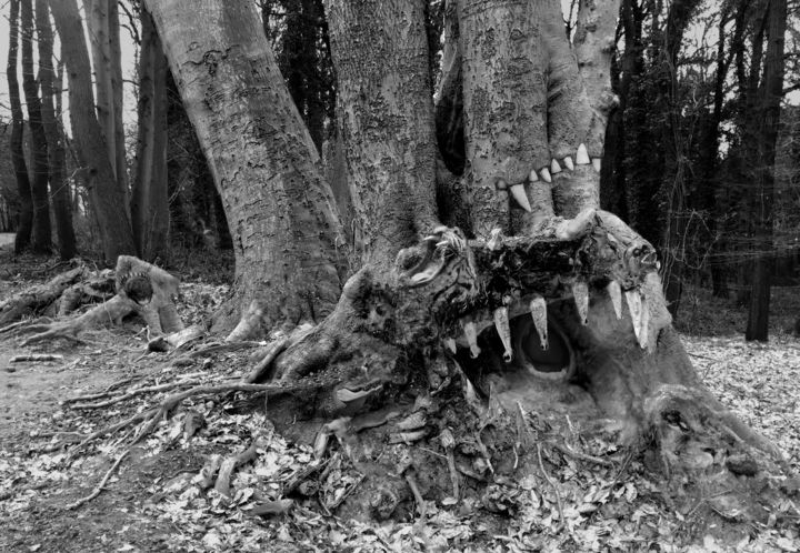 Fotografia zatytułowany „Les dents de la for…” autorstwa Jérôme Cambra, Oryginalna praca