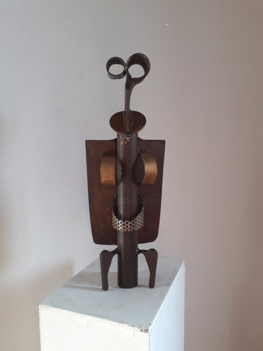 Sculpture intitulée "Vautour2" par Jérôme Danikowski, Œuvre d'art originale, Métaux