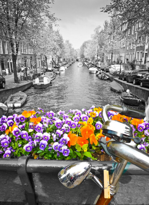 Arts numériques intitulée "FLOWERS IN AMSTERDAM" par Jerry Camps, Œuvre d'art originale, Photographie manipulée
