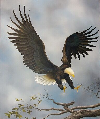 Pintura titulada "American Bald Eagle" por Jerry Sauls, Obra de arte original, Oleo