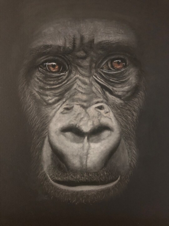 Dessin intitulée "Gorille" par Jess.C.Art, Œuvre d'art originale, Pastel