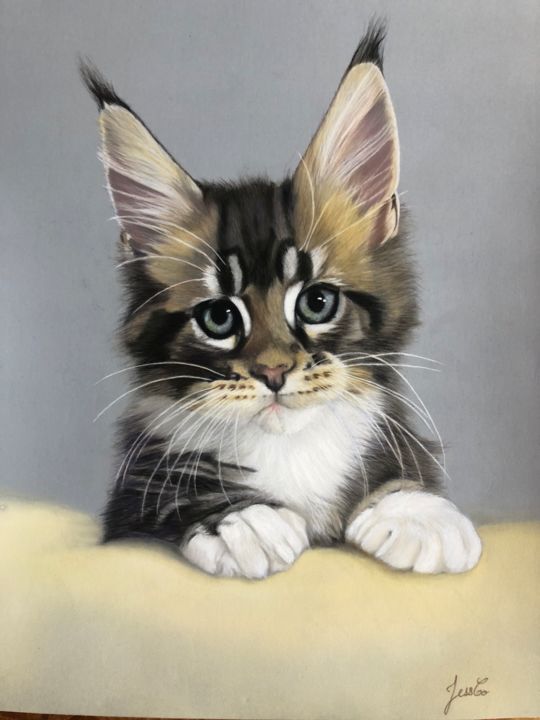Lion Le Chaton Maine Coon Dessin Par Jessie Cotinet Artmajeur Lion Le Chaton Maine Coon Dessin Par Jessie Cotinet Artmajeur