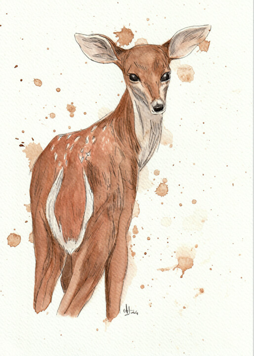 Painting titled "Wild life - cerbiat…" by Jessica Altera, Original Artwork, Watercolor