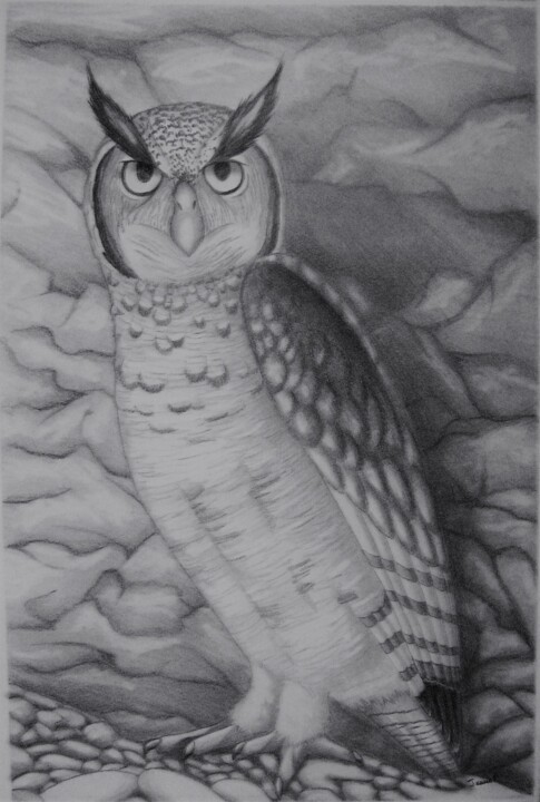 Drawing titled "Hibou Grand-duc" by Jessie Poitras (La Panthère Blanche JP), Original Artwork, Graphite Mounted on Cardboard
