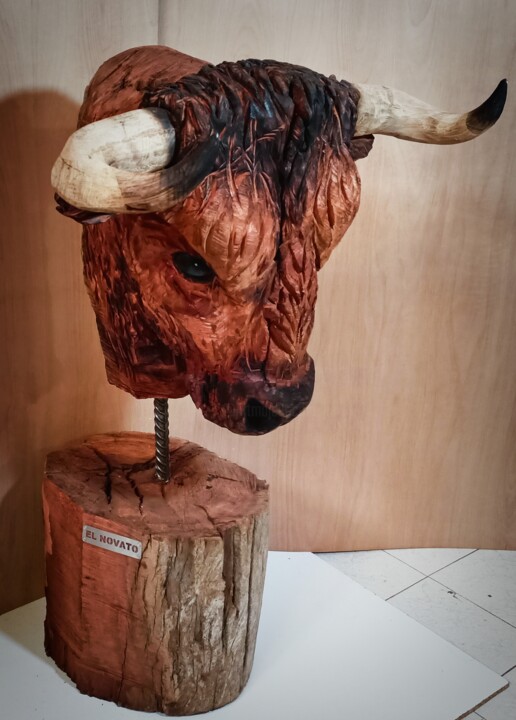 Skulptur mit dem Titel "Colorado" von Jesús Barbosa, Original-Kunstwerk, Holz