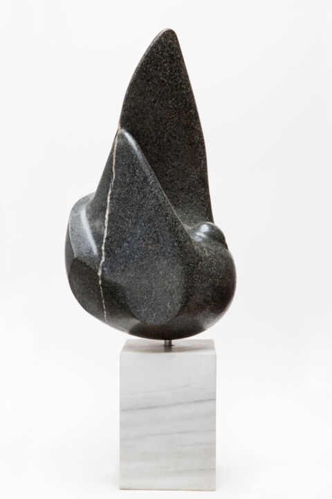 雕塑 标题为“Paloma Negra” 由Jesús (Xuxo) Vazquez, 原创艺术品, 石