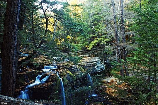 Картина под названием "Catskill Falls" - Thomas Jewusiak, Подлинное произведение искусства