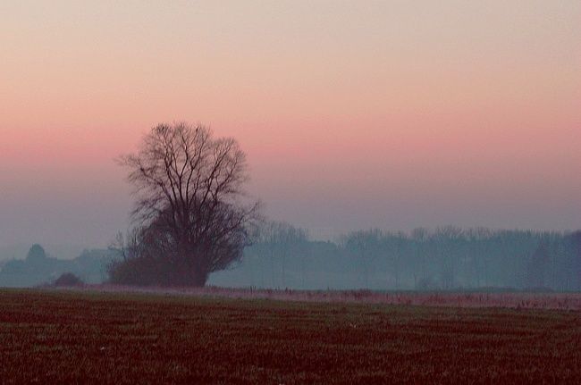 Photographie intitulée "Solitude." par Jean-François Collignon, Œuvre d'art originale