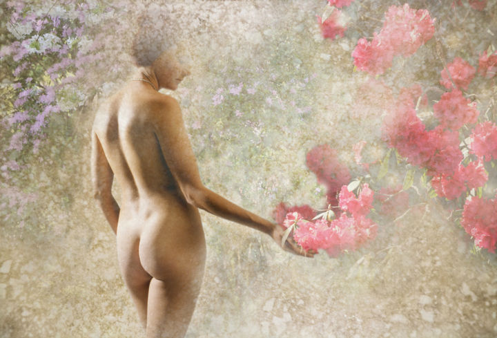 Photographie intitulée "Spring Glory" par Jf Images, Œuvre d'art originale, Photographie numérique