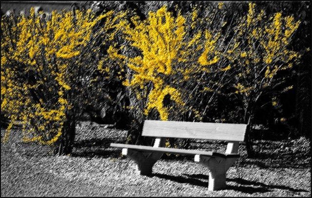 Digital Arts titled "Le banc" by Jean-Henri Colleye, Original Artwork