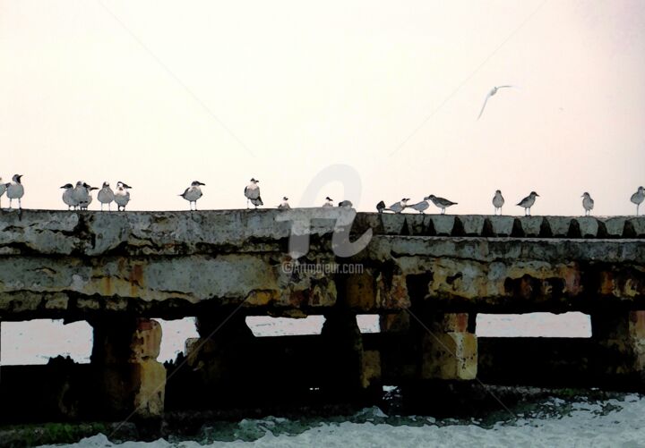 Photographie intitulée "Seagulls on the Pier" par Jill Baker, Œuvre d'art originale, Photographie manipulée