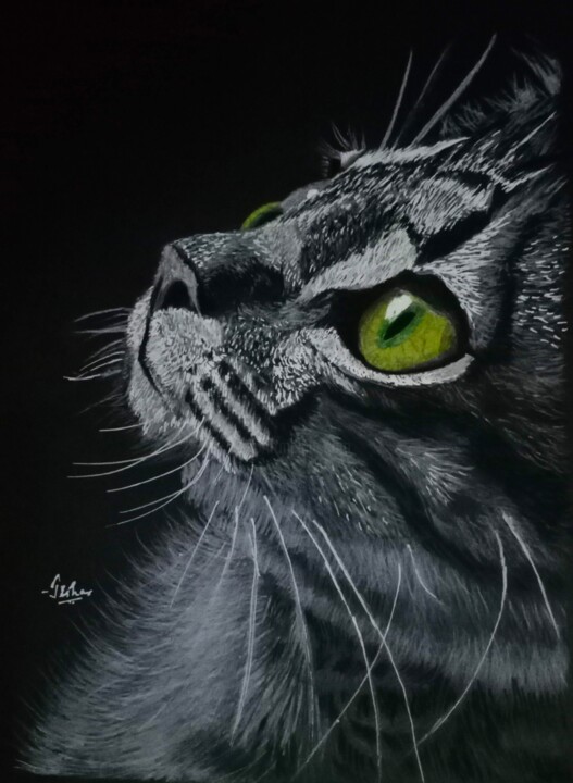 图画 标题为“Like cats' eyes gle…” 由Jisha Rishad, 原创艺术品, 木炭
