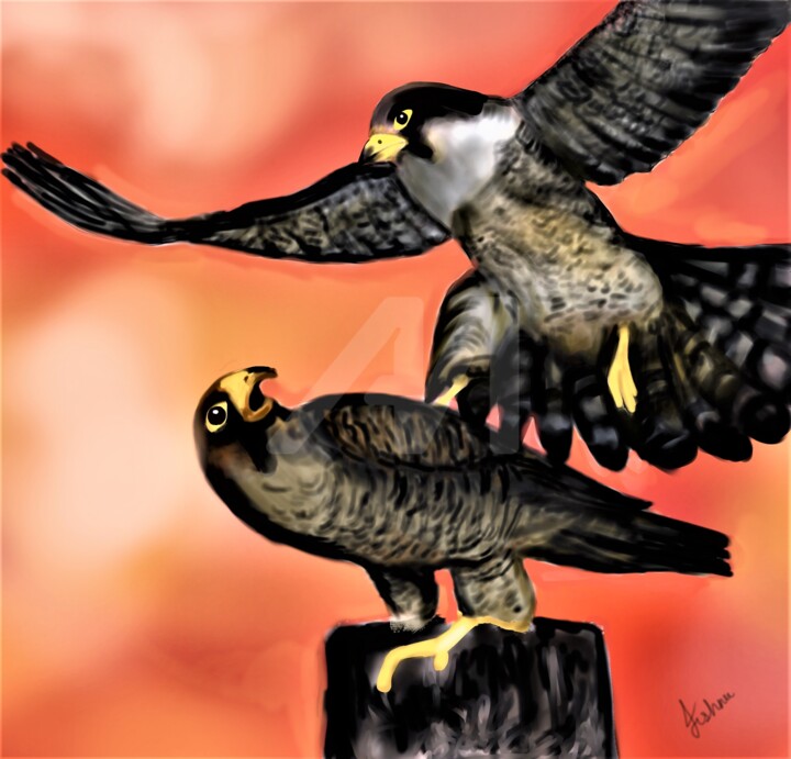 Digital Arts titled "Falcons and evening…" by Jishnu Devan S Nampoothiri, Original Art, Digital Painting