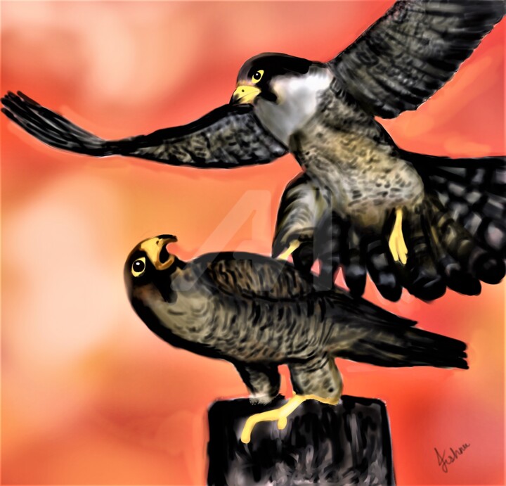 Digital Arts titled "Falcons and evening…" by Jishnu Devan S Nampoothiri, Original Artwork, Digital Painting