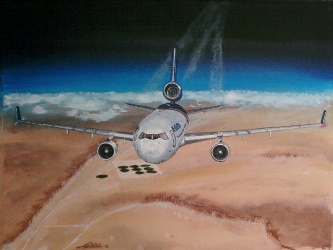 Painting titled "World MD-11 Flying…" by Jerome Leluc, Original Artwork