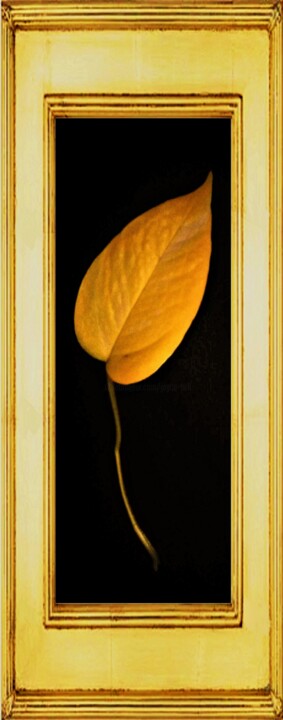 Photography titled "ORO" by Jmsbell, Original Artwork, Manipulated Photography