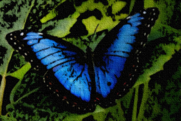 Pintura intitulada "borboleta azul" por Joan Rodrigues, Obras de arte originais