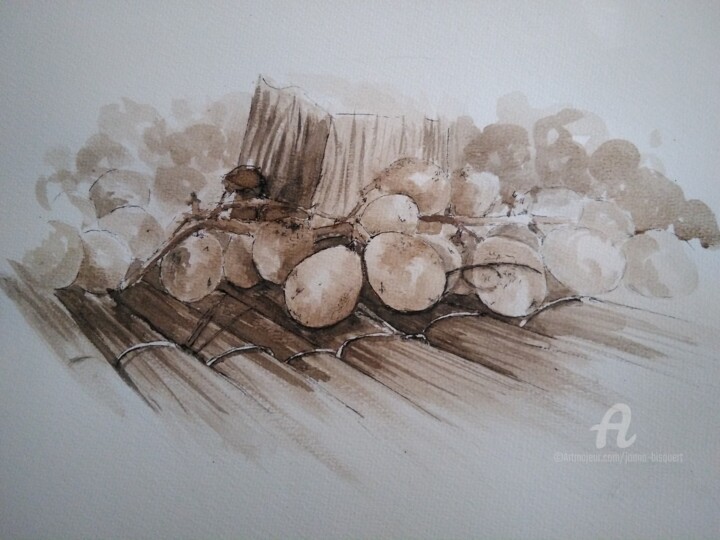 Tekening getiteld "Secado de uvas" door Joana Bisquert Mari, Origineel Kunstwerk, Inkt