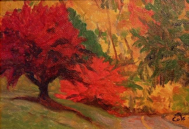 Painting titled "Red Maple" by Joan Cole, Original Artwork, Oil